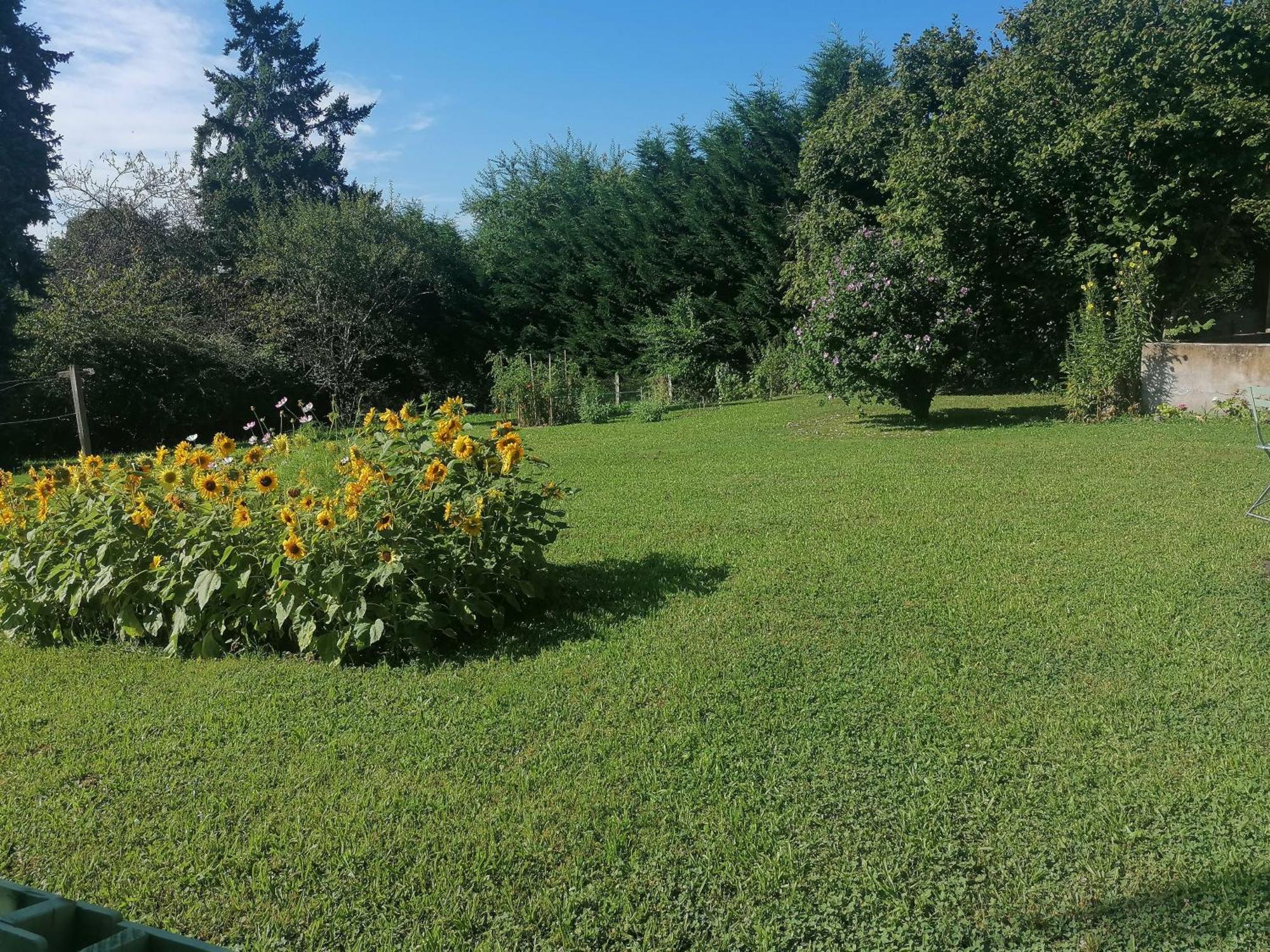 Petite Maison Dans Le Morvan Luzy Buitenkant foto